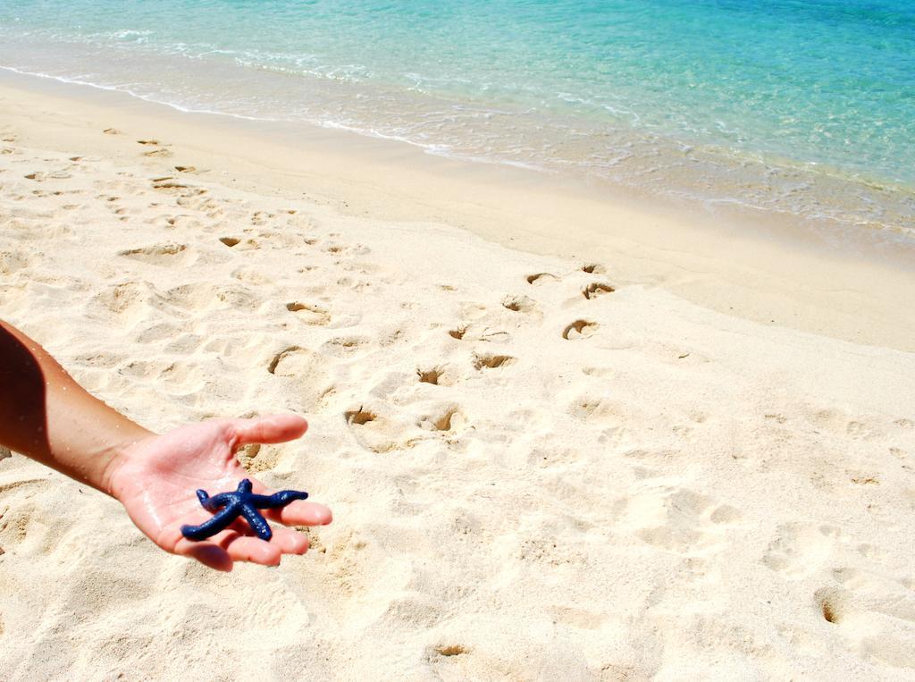 Taufua Beach Fales Lalomanu 외부 사진